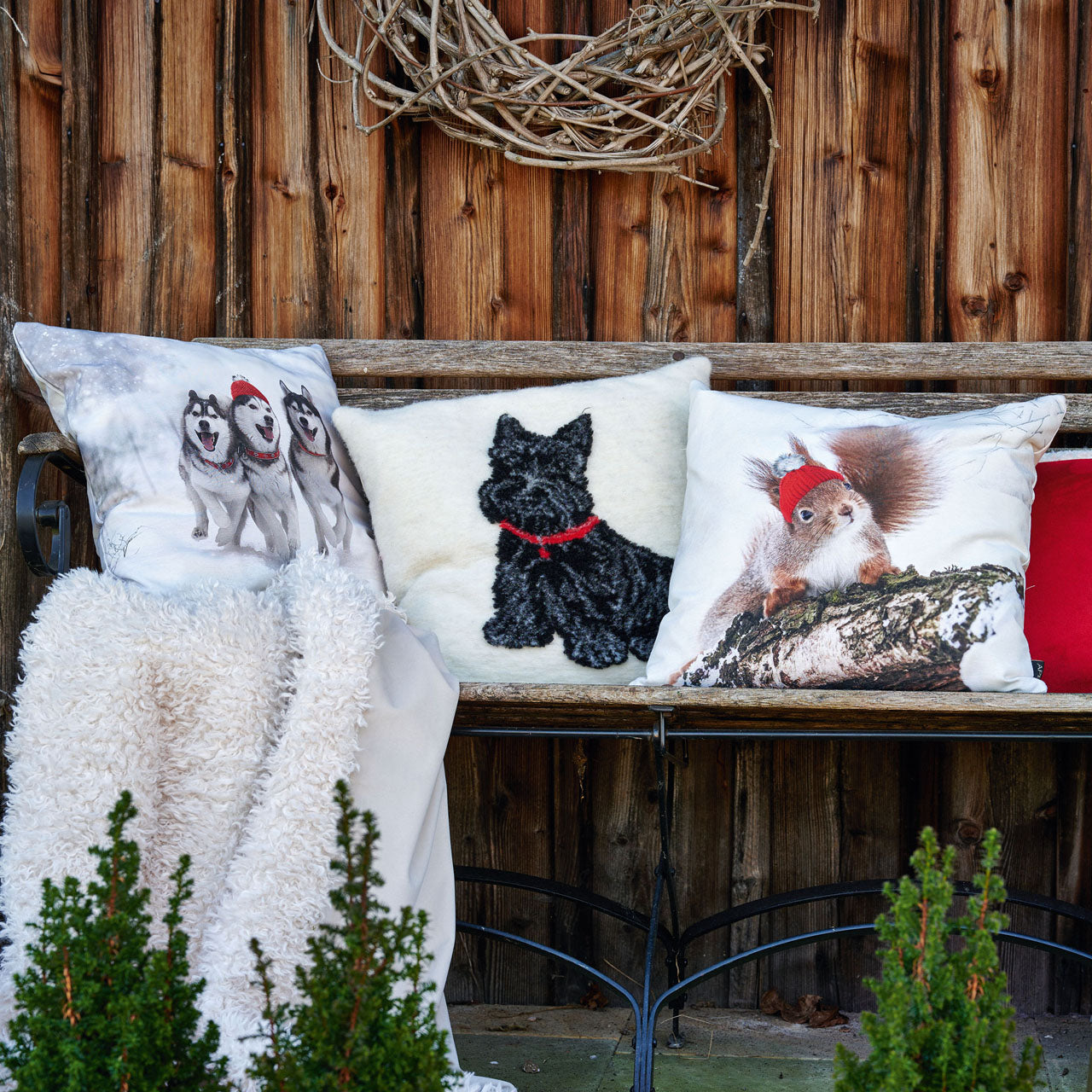 APELT Timmy Kissen süßer Terrier